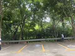 -野象谷景区