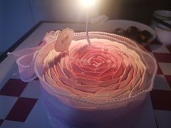 -维尔纳斯·生日蛋糕·动物奶油冰淇淋蛋糕(六里桥店)