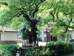 -古堰画乡景区