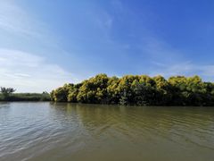 -大湾区中央湿地公园
