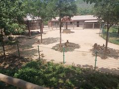 -石家庄市动物园