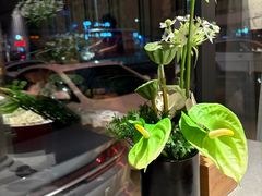 -老家水饺濮阳菜(巴黎街店)