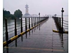 -溱湖国家湿地公园