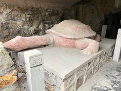 -上海佘山国家森林公园天马山园