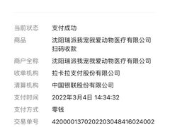 -瑞派宠物医院·24h·骨外科·皮肤科·全科宠物医疗转诊中心(沈阳浑南院)
