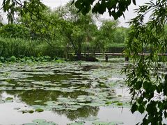 -长兴太湖图影湿地文化园