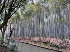-同里国家湿地公园