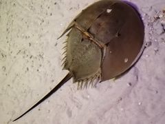 -波塞冬旅游度假区