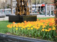 景点-静安雕塑公园