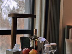 -南京THE TAI太和紫金大酒店