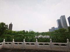 -西海子公园