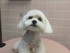 -FAELING PETS美天灵宠物(富力广场店)