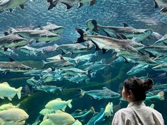 -波塞冬旅游度假区