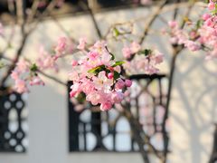-莫愁湖公园