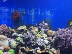 -珠海长隆海洋王国