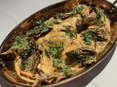 -Oyster Talks 四度蚝法餐厅