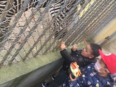 -渭滨公园