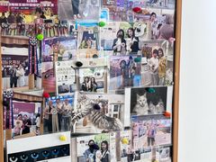 -青奢宠物·青奢猫舍