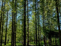 -国家植物园南园