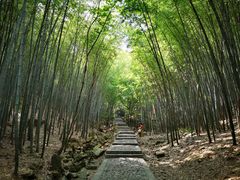 -穹窿山景区
