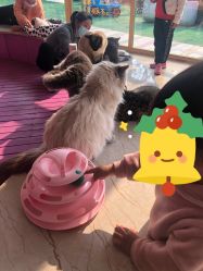 -萌宠亲子动物乐园(槐房万达店)