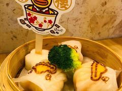 -汇德隆银隆