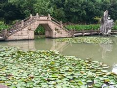 -韩湘水博园