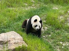 -宁波野生动物园