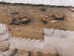 -泰州站