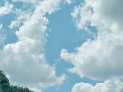 -栾川竹海野生动物园