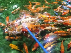 -顺德南宏海立方海洋公园