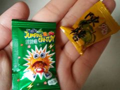 -陳艳红火锅(港汇店)