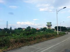 -低涌(地铁站)