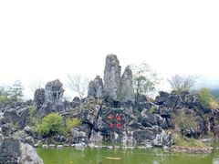 -千岛湖石林