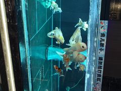 -北京海德酒店温泉