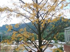 -重庆南山海昌汤都
