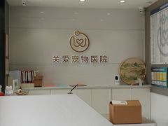 -关爱宠物医院·猫科中心·消化科(滨湖万达分院)