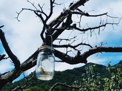 -北京山里寒舍度假酒店