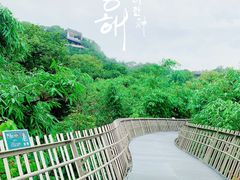 -福道