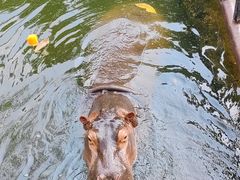 -海南热带野生动植物园