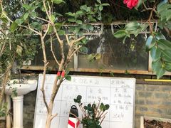-瑞丰园庭院餐厅·白族传统家常菜