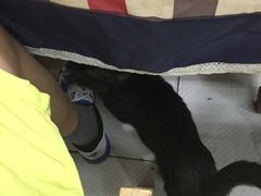 -吴记口味馆