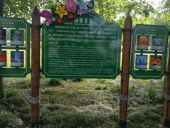 -江苏三台山国家森林公园