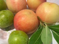 -季季山·云南野生菌火锅(上海首店)