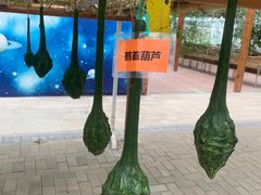 -北戴河集发农业梦想王国