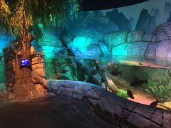 -沈阳海洋探索中心