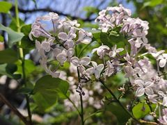 -好世界商业广场(北京国际中心店)