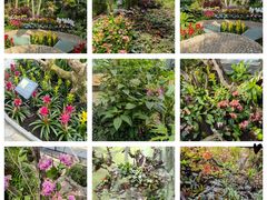 -国家植物园