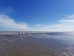 -南汇嘴观海公园