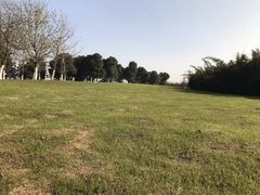 -九里河湿地公园